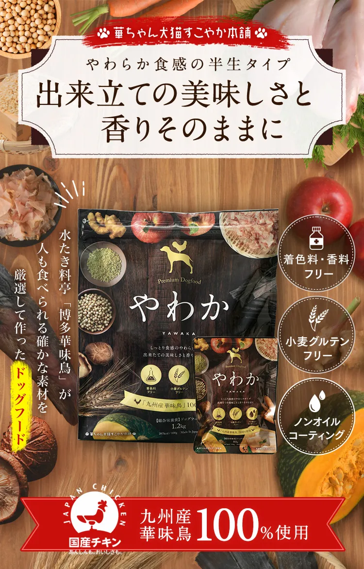 「やわか」を検討されている愛犬家のみなさんへ！特徴や定期購入の詳細、レビューをご紹介します！